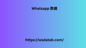 Whatsapp 数据