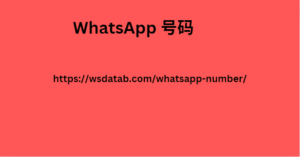 WhatsApp 号码 