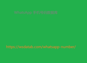 WhatsApp 手机号码数据库 