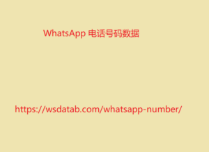 WhatsApp 电话号码数据