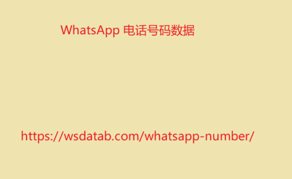 WhatsApp 电话号码数据